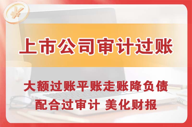涟源上市公司审计过账